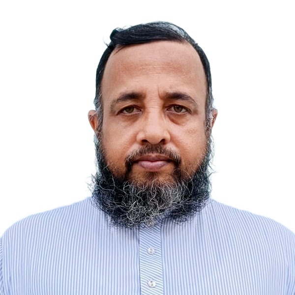 Md Anamul Hasan
